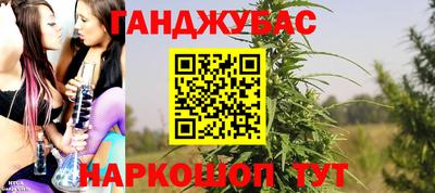 PSILOCYBIN Кунгур
