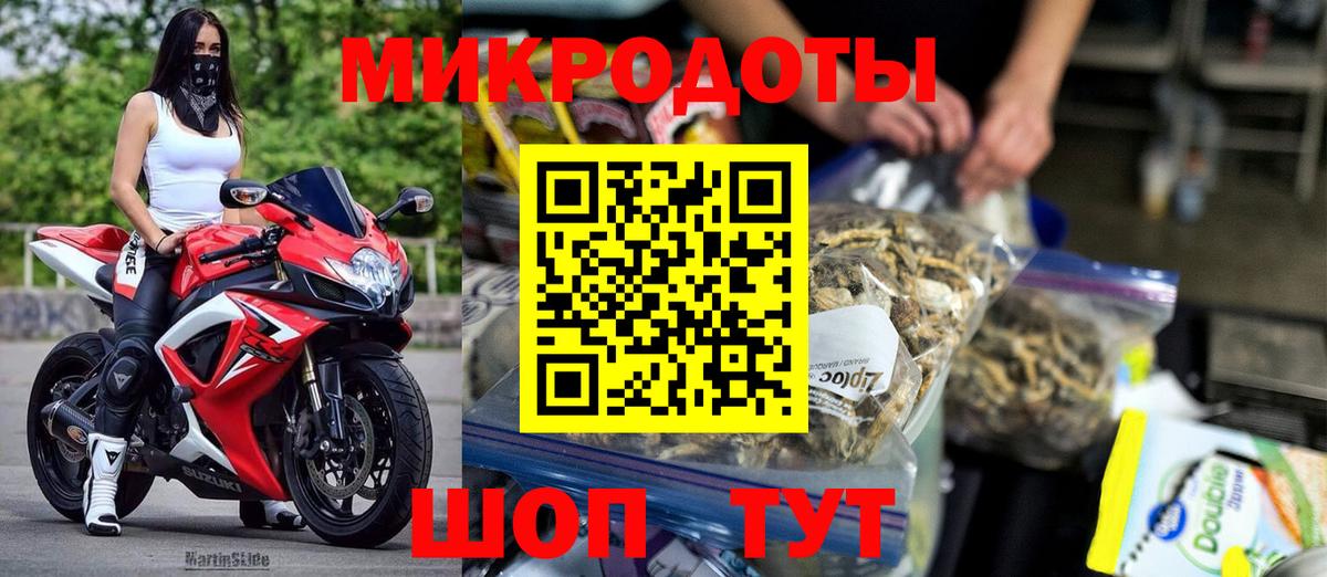 Псилоцибиновые грибы Psilocybe Керчь
