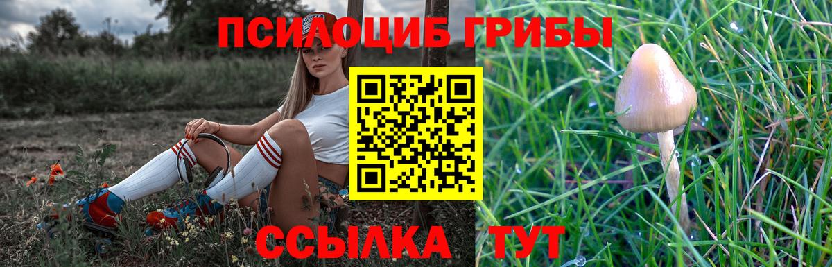 Керчь  Галлюциногенные грибы мухоморы  Вход с VPN 